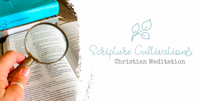 Scripture Cultivations | Biblical Mediation