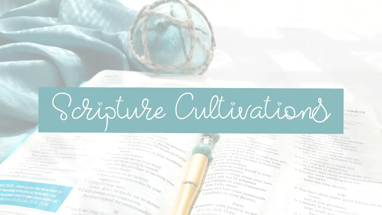 Beneath The Fig Tree | Scripture Cultivations