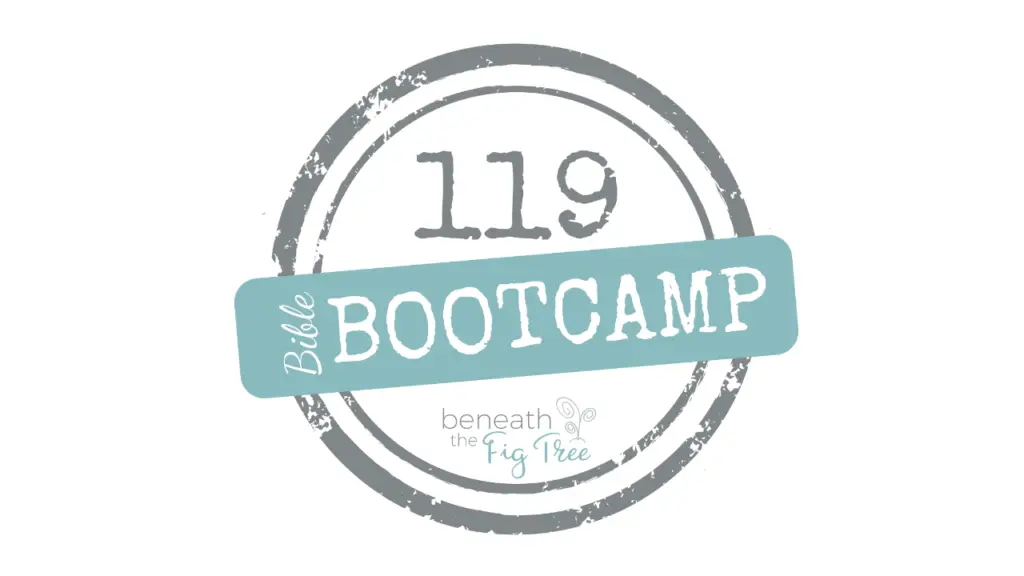 119 Bible Boot Camp on Youtube