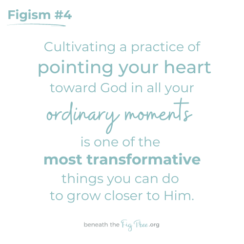 Figisms 4 | Beneath The Fig Tree