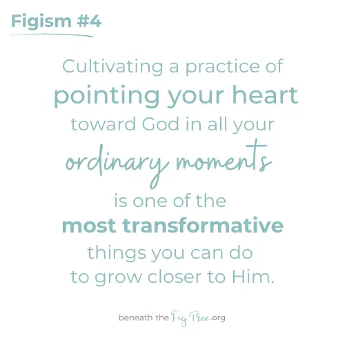 Figisms 4 | Beneath The Fig Tree