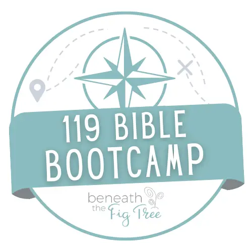 119 Bible Bootcamp Logo
